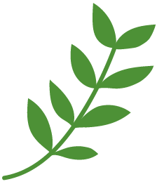 緑のイメージ