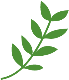 緑のイメージ