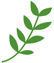 緑のイメージ
